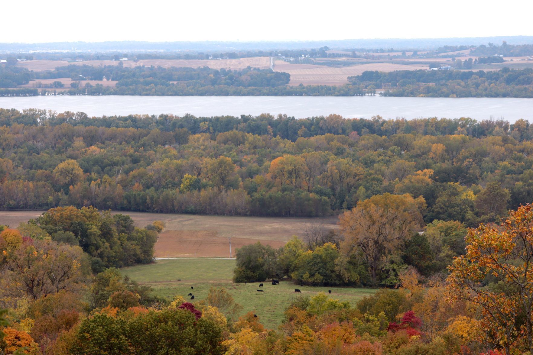 Fall foliage